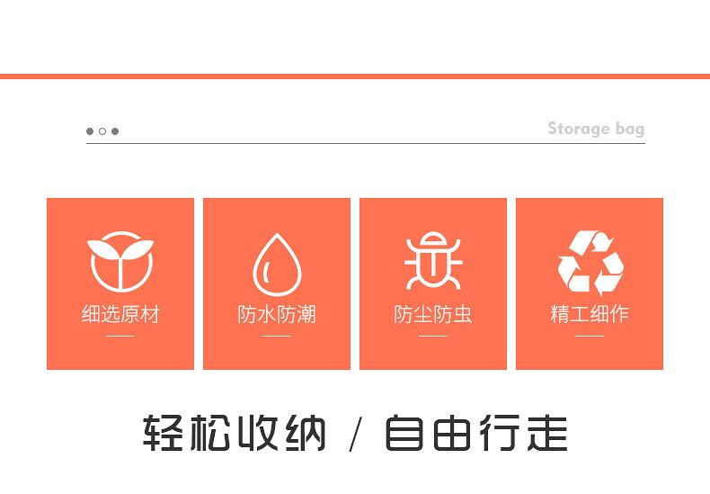 苏晨详情_02.jpg