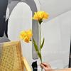 2 Iris Alice Casamento Flor Decoração Simulação Flor Estilo Natural Fresh Home Placement Irlanda