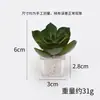 Decoração de micro paisagem, adereços de plantas suculentas mini simuladas, ornamentos para mesa de escritório, decorações de plantas em vaso de plástico