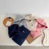Conjunto Infantil Meninos e Meninas Outono e Inverno Novo Estilo Moletom com Capuz e Zíper Parcial Meninos e Meninas Calça de Moletom para Bebê Conjunto de Duas Peças