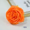 Cabeças de Flores de Peônia Artificiais Atacado para Decoração de Salão de Casamento, Props de Arco de Parede de Flores e Arranjos Florais