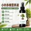 Venta al por mayor de fábrica Hoja Amarilla Hoja Cayendo Hoja Pequeña Rojo Nan Solución Nutritiva Especial Fijación de Fruta Solución Nutritiva Hidropónica