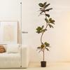 Planta Verde de Simulación Grande Árbol de Caucho Rey Kong Negro Planta de Interior Sala de Estar Decoración de Ventana Adornos Árbol Falso en Maceta de Pie