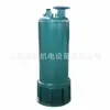 Bqs30-58/2-11/N Bomba Submersível à Prova de Explosão Fácil de Operar Bqs Bomba Submersível para Mineração Bomba para Esgoto e Areia
