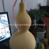 Vendas de fábrica com torneira cabaça cabaça branca natural com torneira enfeites de cabaça atacado