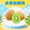 Kiwi Shaanxi Xuxiang - Entrega de 10/12/15/20/24/30 piezas de kiwi jugoso, fresco y de pulpa verde