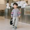 Conjunto de Sudadera con Cuello Redondo y Estampado de Cachorro para Niños Otoño 2025 Nuevo Moda para Bebé Niño Conjunto de Dos Piezas Primavera y Otoño para Niños Moderno