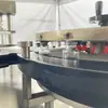 Línea de Producción de Llenado y Tapado con Tapa de Rollo de Frascos para Preparación Biológica Líquida de Vacuna Personalizada Máquina de Llenado y Tapado de Líquidos