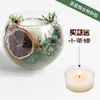 Vela de Flor Aromaterapia DIY Manyue Suporte de Vela Copo Vazio de Vidro Recipiente de Gelatina de Flor Imortal Conjunto de Materiais Artesanais
