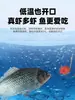 Guoliang Pesca Cauda Vermelha Azul Isca Não Congelada para Carpa Crucian e Carpa, Não Isca de Peixe, Fresca e com Cheiro de Peixe, Rei da Isca em Pó de Carne de Camarão para Outono e Inverno
