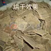 Secador Grande de Eucommia Medicina Herbal China Sala de Secado con Bomba de Calor Equipo de Secado Comercial para Cáscara de Eucommia y Comprimidos de Eucommia