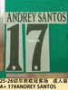 25-26 Chelsea Liga de Campeones Kit de Visitante Adulto Camiseta A+ Número Letra Calcomanía de Transferencia Térmica
