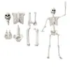 Nuevo esqueleto humano artificial de Halloween transfronterizo 165 cm accesorio de plástico para bares, casas embrujadas y salas de escape