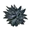 Moda Coreana Nueva y de Moda Lazo Ropa Accesorios DIY Flor 3D de Pedrería Accesorios para Ropa Venta al por Mayor