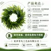 Venta al por mayor transfronteriza del fabricante Coronas decorativas de primavera, Colgantes de puerta de plantas verdes, Decoraciones de pared, Guirnaldas artificiales de eucalipto para bodas y Navidad