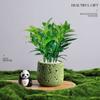 Árvore da Fortuna Plantada em Vaso Desktop Planta Criativa Enfeites Florais de Escritório e Plantas Verdes Coco Rico Funcho Pequeno Bonsai