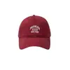 Gorra de Béisbol Bordada con Letras Estilo Coreano para Hombres y Mujeres, Parejas Jóvenes, Estudiantes, Gorra Rígida Tipo Pato, Sombrero de Sol Retro Japonés