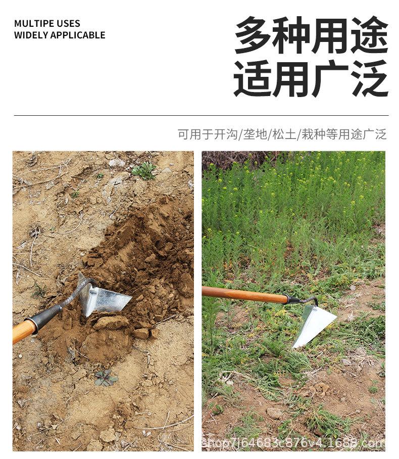 详情_02.jpg
