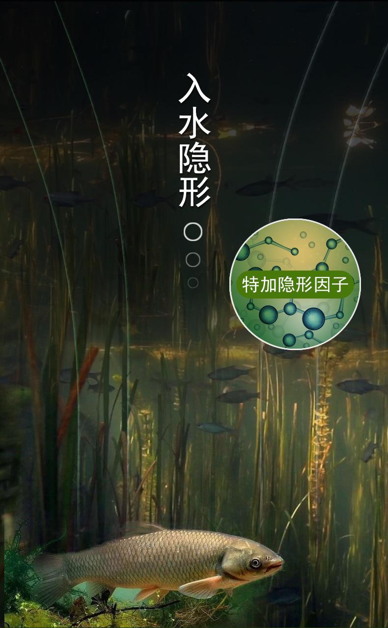 鱼线_04.jpg