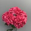 Flores Artificiales de Mini Hortensia de 5 Cabezas Transfronterizas, Materiales Florales para Bodas, Arreglo Floral de Pasillo, Flores Falsas, Arte Floral para Decoración de Bodas