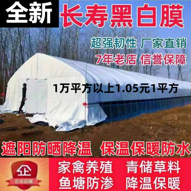 黑白膜1