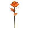 Cor Folha de Ouro 24K Rosa Cravo Dia dos Namorados Dia das Mães Festival Qixi Simulação Luminosa Flor Preservada