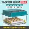 Incubadora totalmente automática, incubadora inteligente de huevos de aves de corral, directo de fábrica, disponible para exportación y comercio transfronterizo