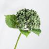 Hortênsia Hidratante 196 Peças Flores Artificiais para Decoração de Casamento Buquê da Noiva Flores Artificiais para Casamento Amazon