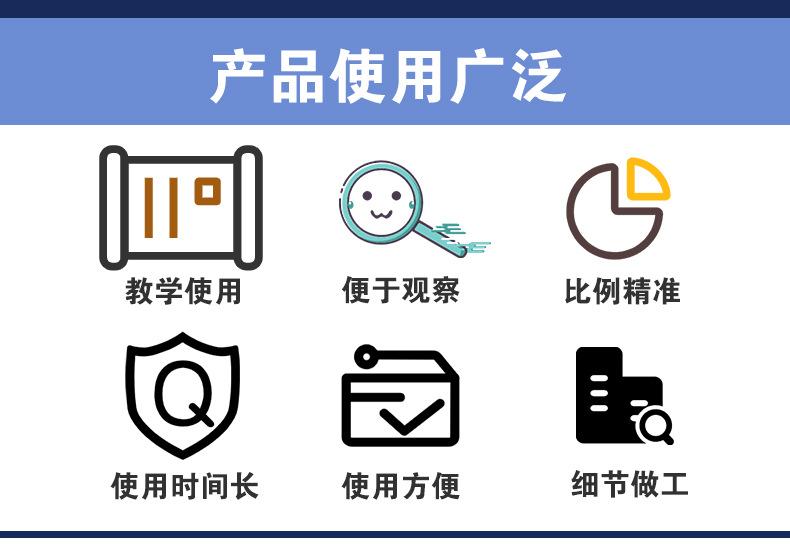 QH3323心搏与血液循环模型_03.jpg