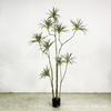 Planta Simulação Madeira Milênio Nórdico Decoração Suave Planta Verde Falsa Decoração de Vaso Simulação Sangue de Dragão Lírio de Ferro Bambu Pêndulo