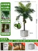 Grande Palmeira Areca Simulada Planta Tropical Coqueiro Planta Verde Biônica de Interior Árvore Falsa Atmosfera Paisagismo Ornamentos em Vaso