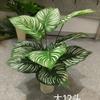 18 Folhas de Monstera Artificiais, Plantas Verdes Artificiais, Decoração para Casa, Plantas Verdes Artificiais no Atacado do Fabricante