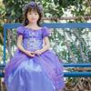Oferta Especial Venta de Liquidación Vestidos para Niñas Vestido de Princesa Elsa de Frozen Vestido de Cuento de Hadas Blancanieves Disponible para Dropshipping
