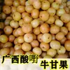 Snacks Ácidos Especiales de Lingshan, Guangxi: Ciruelas Ácidas, Rábanos Encurtidos, Uvas Encurtidas, Regaliz, Aceitunas, Botanas