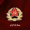 Insignia de Águila Bicéfala Rusa Unión Soviética Hoz Martillo Primera Clase Patriótica Espiga de Trigo Estrella Roja Medalla Conmemorativa Insignia Broche