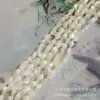 Piedra Triturada Irregular de Caracol Marino y Caracol Herradura, Abalorios Irregulares de Nácar para Collares Hechos a Mano DIY y Accesorios de Decoración para Cortinas de Puerta