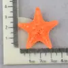 Cenicero de Resina Materiales de Relleno Accesorios Accesorios para el Cabello Niños Estrella de Mar Simulada DIY Barro de Cristal Accesorios de Resina