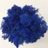 10g Musgo Artesanal Imortalizado de Grau A Pacote de Material DIY Acessórios para Micro Paisagemprimelo