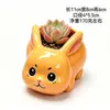 Vaso de cerâmica criativo com animal de desenho animado para planta suculenta, simples, moderno, para jardinagem, combinação fofa de coelho, planta em vaso mini