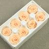 Flor Eterna Grado B 4-5 Material de Rosa Flor Seca Hecho a Mano Cubierta de Cristal Unicornio Material DIY Oso Hecho a Mano