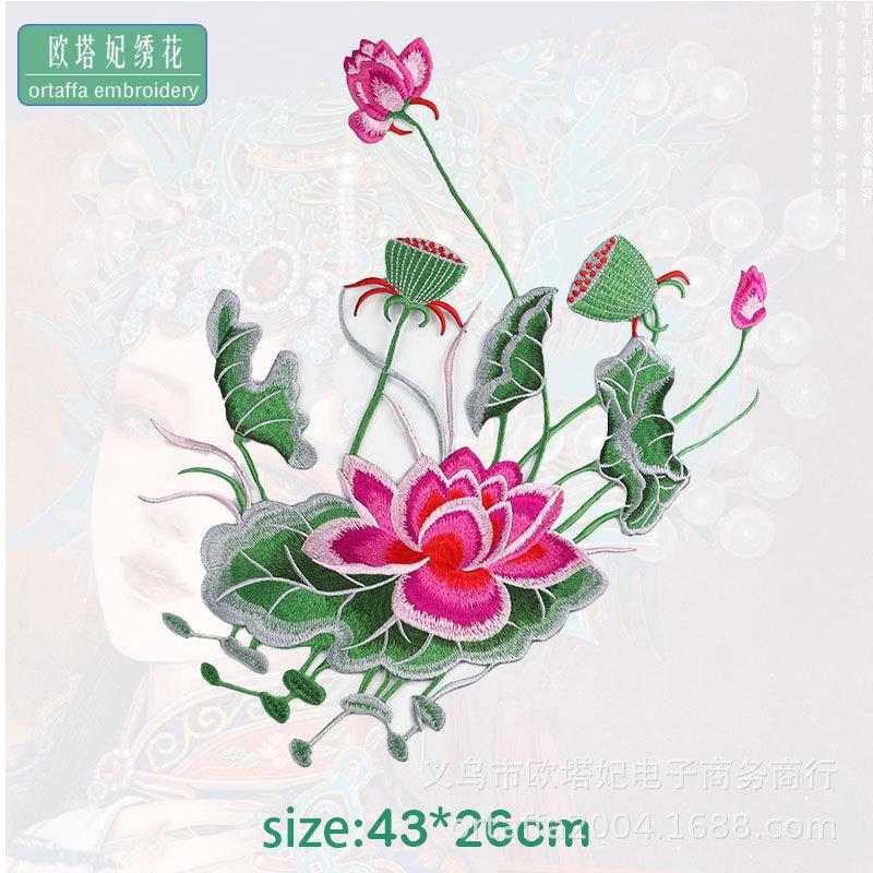 荷花5。.jpg