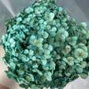 Flores Preservadas que Não Murcham Yunnan Grau A Hortênsia Eterna Atacado 23-35cm Folhas Pequenas Coloridas