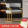 Silla de Maquillaje, Recepción de Salón de Belleza, Sillón Individual, Silla para Salón de Uñas, Silla de Comedor de Lujo Ligero para Mahjong, Otro Metal