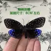 Venta Directa al Por Mayor de Fábrica de Especímenes Reales de Mariposas con Alas Extendidas, Diversos Insectos y Escarabajos, Accesorios para Fotos, Educación Científica, Especímenes Naturales