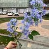 Comercio Exterior Nueva Hortensia Simulada Geranio Hortensia Hortensia Silvestre Guía de Camino de Boda Blanca Decoración Suave Flor Artificial Al por Mayor