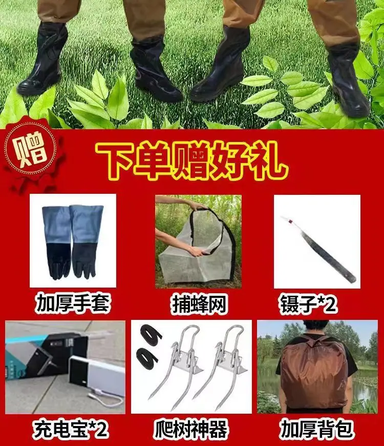 02.jpg