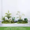 [Cena de Empilhamento Estilo Três Caracteres] Paisagem de Flores e Grama, Plantas Verdes, Plantas Artificiais, Musgo Decorativo, Móveis de Interior de Luxo Acessível