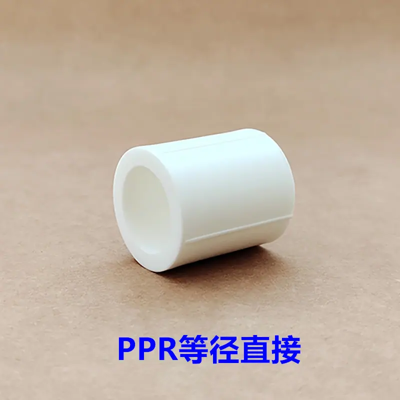 PPR配件000999993