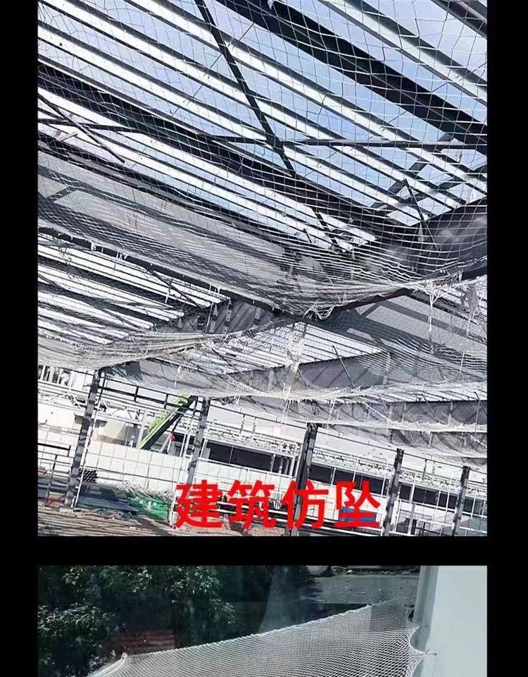 白网祥1112