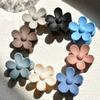 Versión coreana de color caramelo flor esmerilada agarre Amazon caliente tamaño pequeño placa de cabeza pasador de pelo agarre para el pelo fabricantes al por mayor